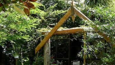Eco-Friendly Hotels In New Zealand