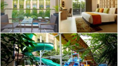 Budget-Friendly Hotels in Yogyakarta with Good Reviews